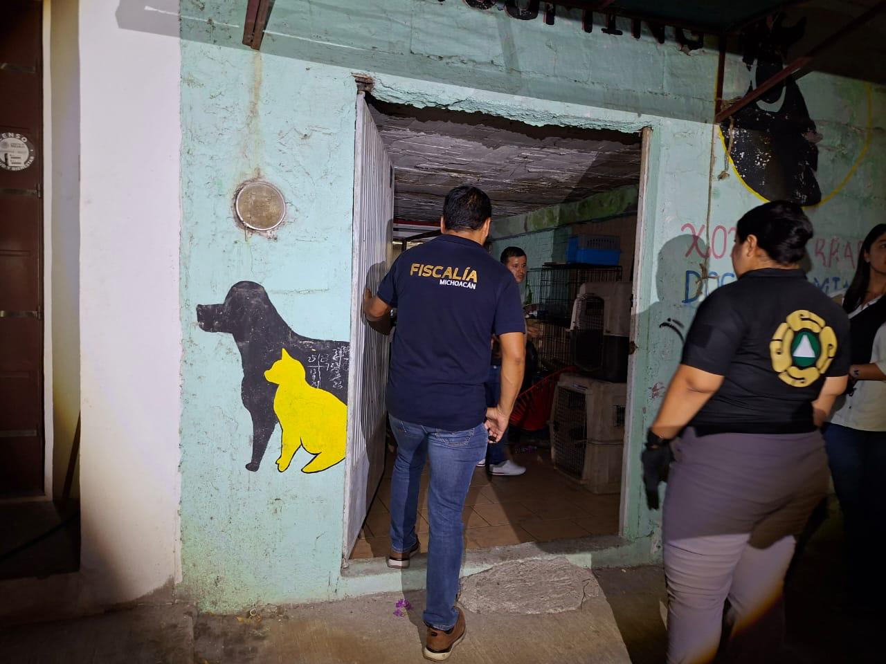 Rescata FGE a cinco ejemplares caninos víctimas de maltrato y abandono en Apatzingán