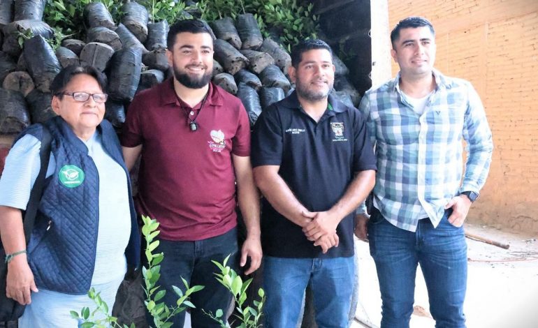 Impulso histórico al limón michoacano; avanza renovación de huertas en Tierra Caliente