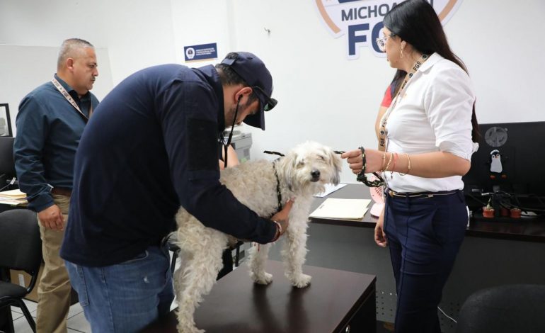 Investiga FGE posible caso de maltrato animal tras difusión de video en redes sociales