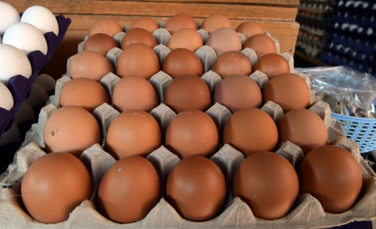 ¿Dónde comprar más barato? La estrategia que protege la economía de tu familia