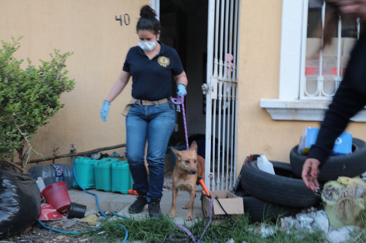 Rescata FGE a dos caninos víctimas de maltrato y abandono, en Morelia