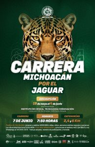 ¡A correr por una buena causa! Abren inscripciones para la Carrera Michoacán por el Jaguar