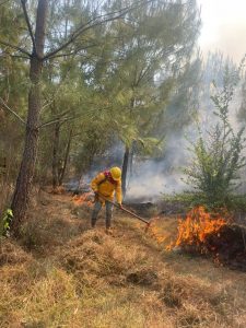Incendio forestal en el Cerro del Estribo controlado en un 80 %<br> 
