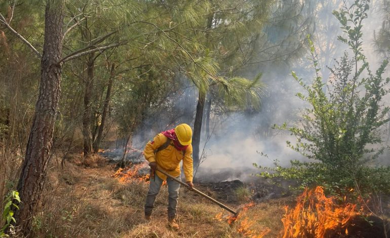 Incendio forestal en el Cerro del Estribo controlado en un 80 % 