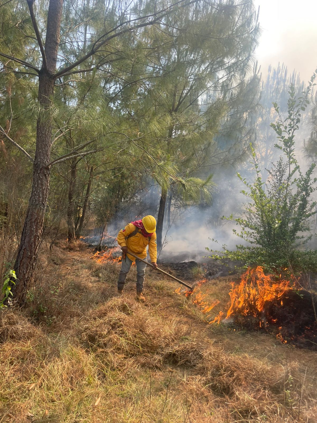 Incendio forestal en el Cerro del Estribo controlado en un 80 % 