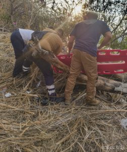 Motociclista queda lesionado tras derrapar en carretera Zitácuaro-Tuzantla.