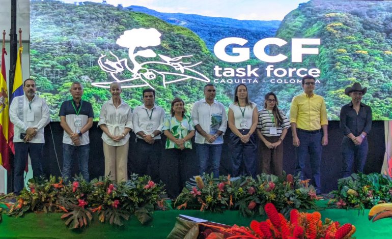 Michoacán se une a la élite mundial contra la deforestación.