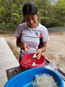 Jóvenes del Cecytem llevan innovación agrícola y ecológica a feria de ciencia en Aquila