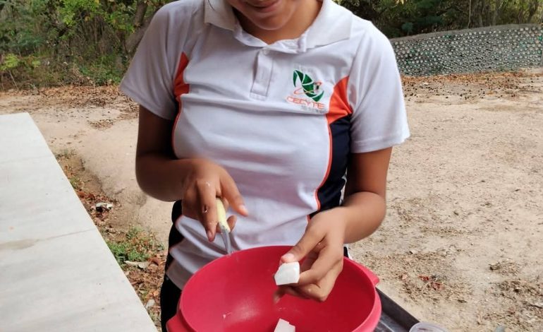 Jóvenes del Cecytem llevan innovación agrícola y ecológica a feria de ciencia en Aquila