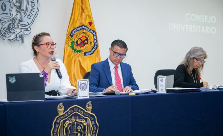 SE ROBUSTECEN MECANISMOS DE CONTROL INTERNO EN GESTIÓN DE YARABÍ ÁVILA; SE APRUEBAN MANUALES DE PROCEDIMIENTOS