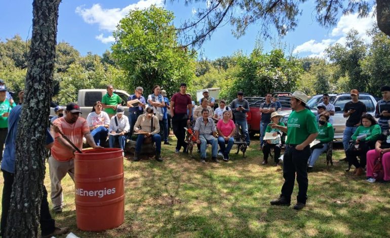 Impulsa Sader el cultivo sustentable de aguacate con jornada agroecológica en Uruapan
