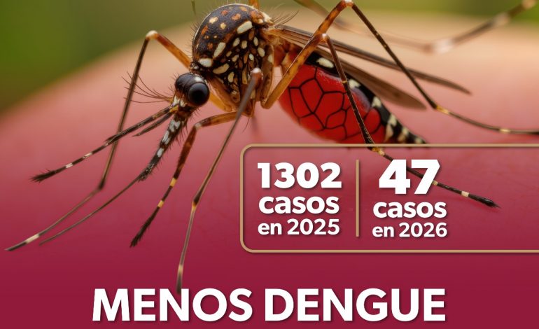 Disminuyen 96.4% los casos de dengue en Michoacán: SSM
