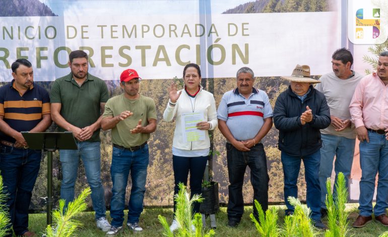 Jeovana Alcántar realizó la entrega de más de 120,000 plantas forestales de diferentes especies para la reforestación de 150 hectáreas del municipio de Hidalgo