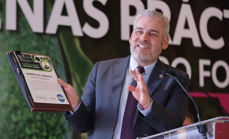 Certificación «ProForest Avocado»: El sello satelital que exigen 50 organizaciones en EE. UU.