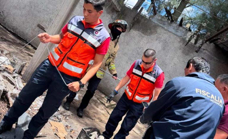 Rescata Fiscalía General a cuatro ejemplares caninos víctimas de maltrato, durante cateo en Maravatío