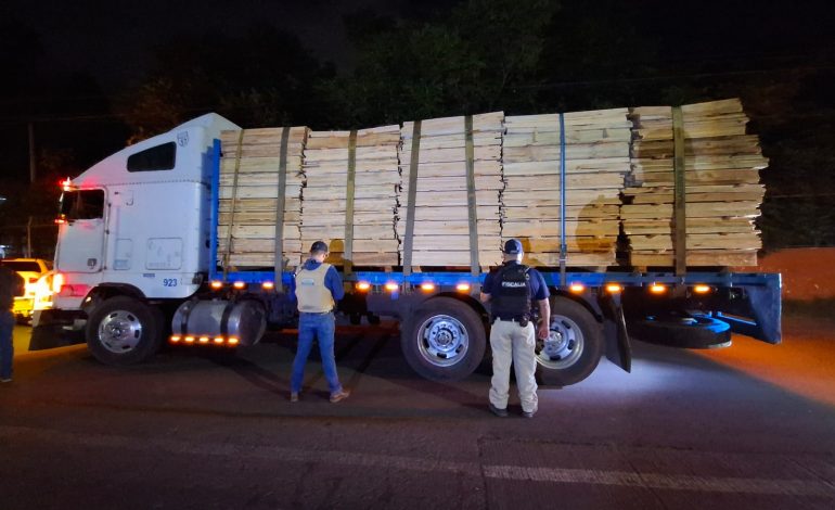 FGE aseguran vehículos que transportaban madera durante operativo coordinado en Pátzcuaro