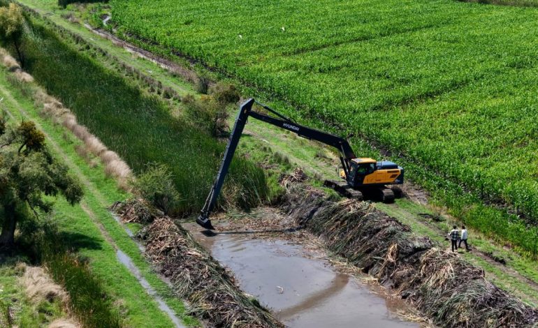 Sader rehabilita más de 31 kilómetros de canales y drenes en Sixto Verduzco y Angamacutiro