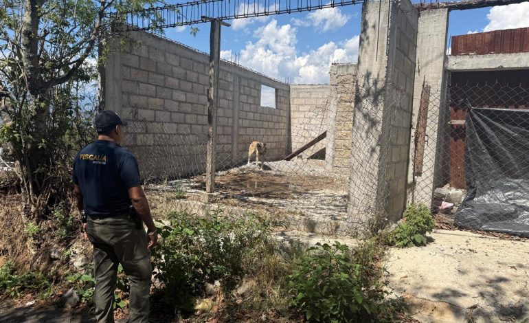 Asegura FGE ejemplar canino durante cateo por presunto maltrato animal en Zitácuaro