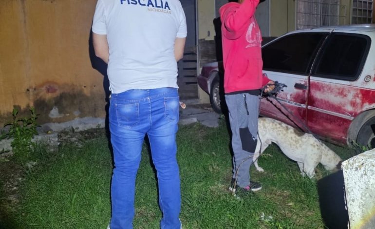 Fiscalía General rescata a un canino víctima de maltrato, durante cateo realizado en Numarán