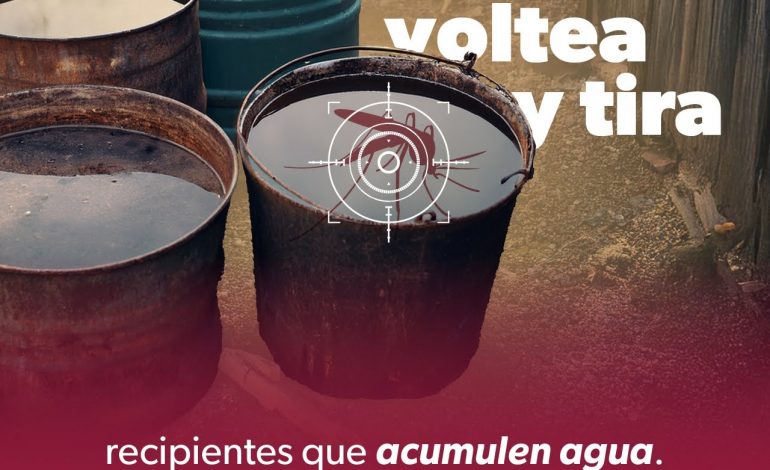 Limpieza en el hogar, clave para prevenir criaderos del mosquito del dengue: SSM