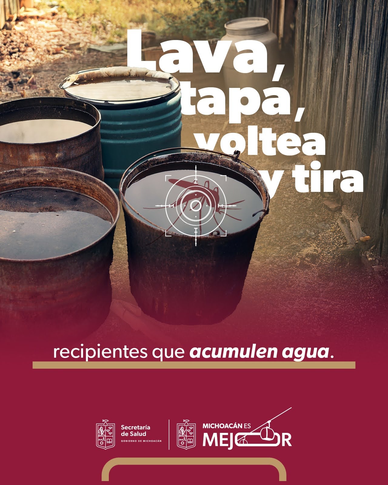 Limpieza en el hogar, clave para prevenir criaderos del mosquito del dengue: SSM