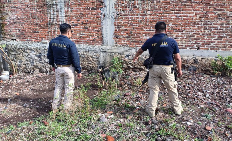 Rescata FGE a tres ejemplares caninos en situación de maltrato animal durante cateo en Jiquilpan