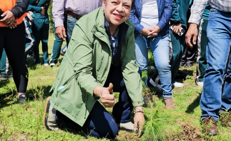 Jeovana Alcántar encabeza la siembra de 3,000 pinos en la Presa de Pucuato para restaurar zonas afectadas por incendios