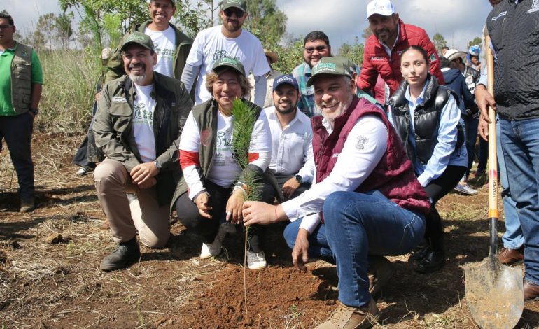 Sumarán 6 millones de árboles al rescate del lago de Pátzcuaro: Bedolla