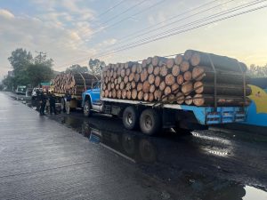 Asegura FGE tres camiones con producto forestal y pone a disposición a tres personas por presunto uso de documentación falsa en Charo
