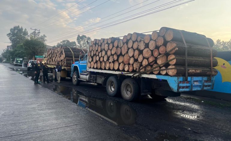 Asegura FGE tres camiones con producto forestal y pone a disposición a tres personas por presunto uso de documentación falsa en Charo