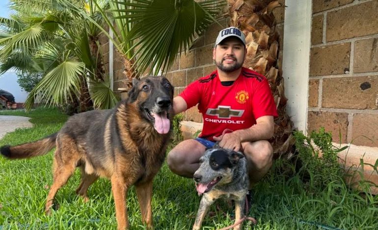 Octavio Ocampo resalta importancia de creación de Institutos Municipales de Protección Animal; propuesta que hizo llegar al pleno