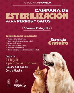 SSM abre registro para jornada gratuita de esterilización canina y felina en Morelia