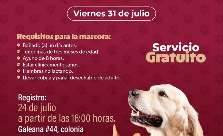 SSM abre registro para jornada gratuita de esterilización canina y felina en Morelia