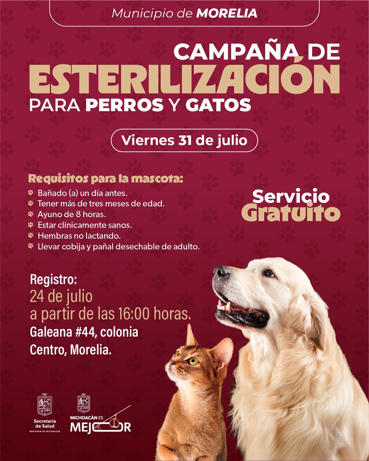 SSM abre registro para jornada gratuita de esterilización canina y felina en Morelia