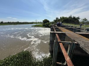 Conagua renovará infraestructura de riego en la Región Ciénega para mitigar inundaciones