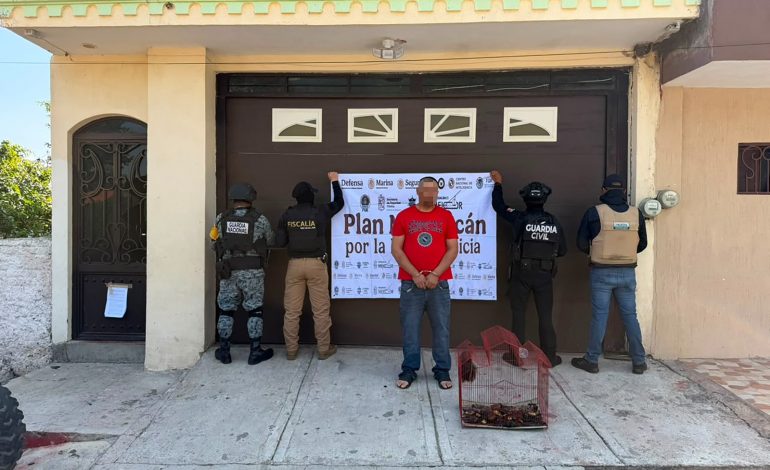 Cateo de la FGE en Paracho deja un detenido; aseguran armamento y rescatan un mono araña en condiciones de maltrato