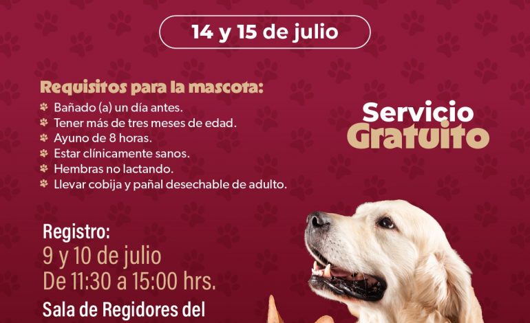 SSM llevará jornada gratuita de esterilización animal a Quiroga