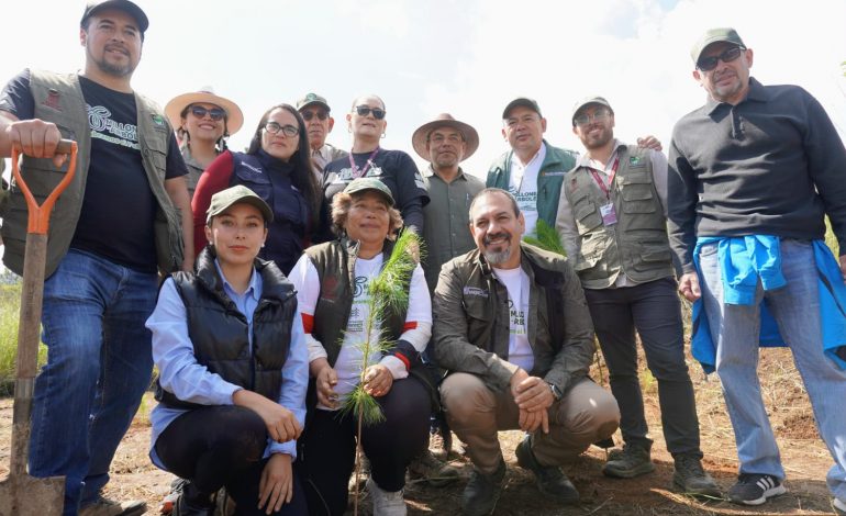 Reforestación en Michoacán, clave para la recuperación de ecosistemas y recursos hídricos