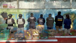 Recibe Zoológico de Morelia 83 aves aseguradas por Profepa