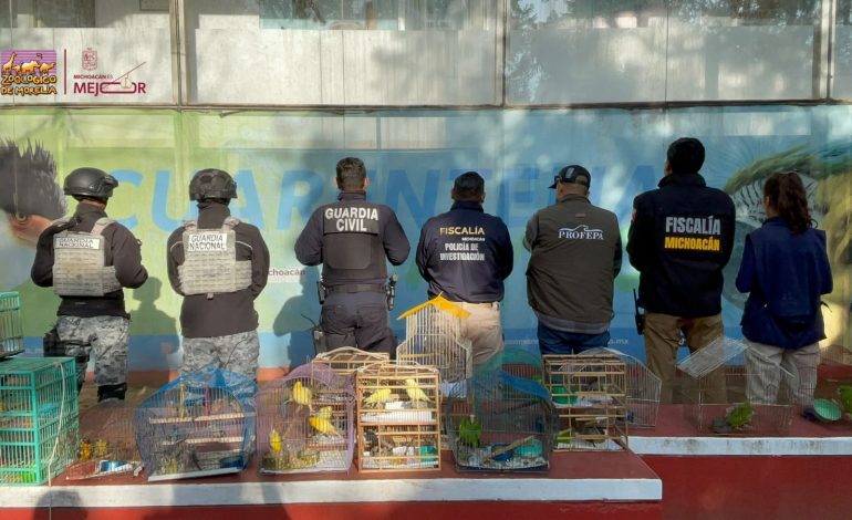 Recibe Zoológico de Morelia 83 aves aseguradas por Profepa