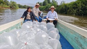 Programa de conservación del lago de Pátzcuaro alcanza los 60 mil peces liberados en el año