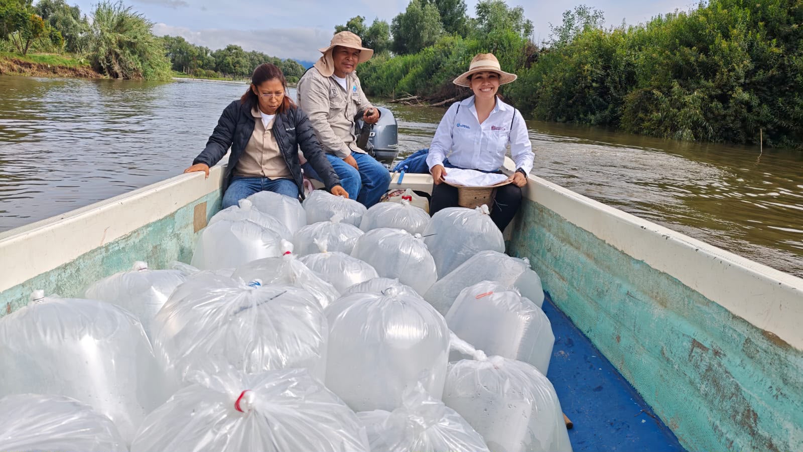 Programa de conservación del lago de Pátzcuaro alcanza los 60 mil peces liberados en el año