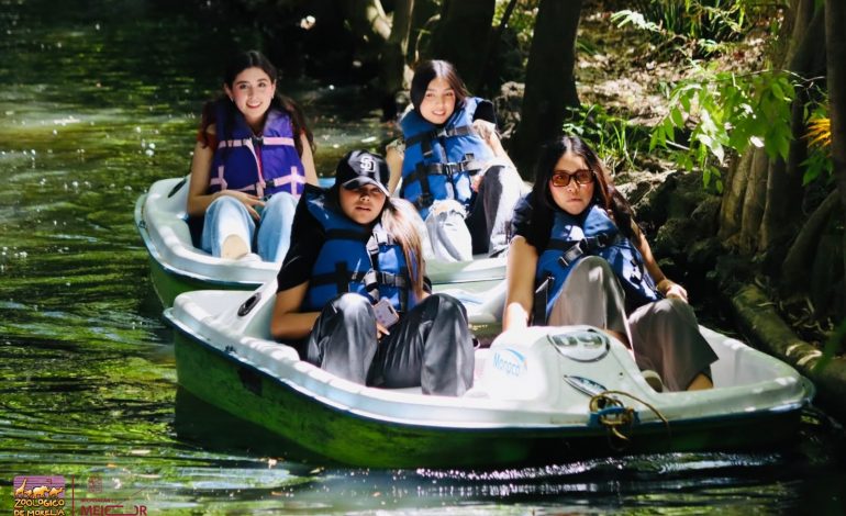 Descubre la magia de la Selva Mexicana a bordo de una lancha en el zoológico