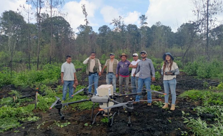 Restauran bosques de Quiroga con 48 mil semillas esparcidas con dron