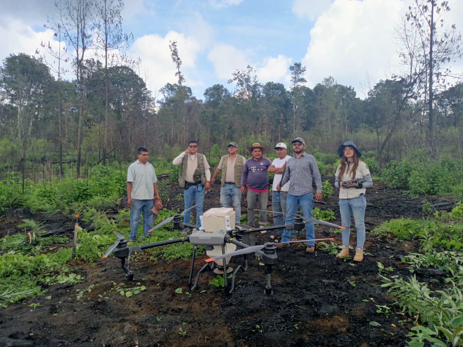 Restauran bosques de Quiroga con 48 mil semillas esparcidas con dron
