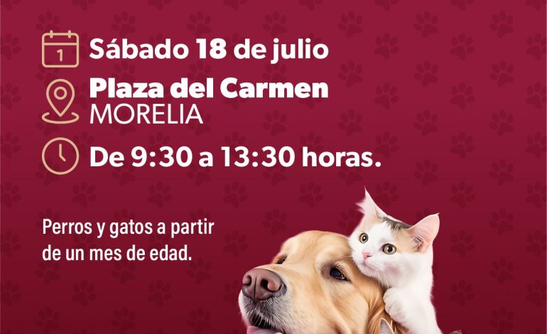 SSM realizará jornada de vacunación antirrábica para perros y gatos en Morelia