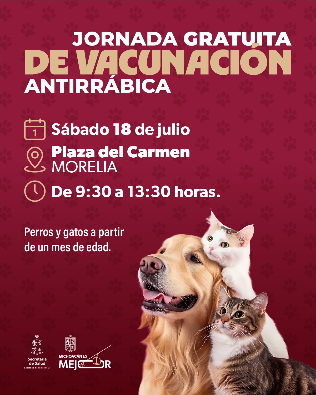 SSM realizará jornada de vacunación antirrábica para perros y gatos en Morelia