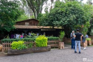 Desafía la gravedad en la Cabaña Encantada del Zoológico de Morelia
