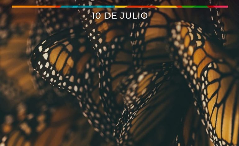 Reserva de la Biosfera Mariposa Monarca cumple 18 años como Patrimonio Mundial