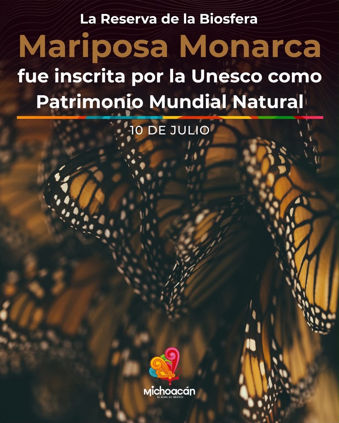 Reserva de la Biosfera Mariposa Monarca cumple 18 años como Patrimonio Mundial